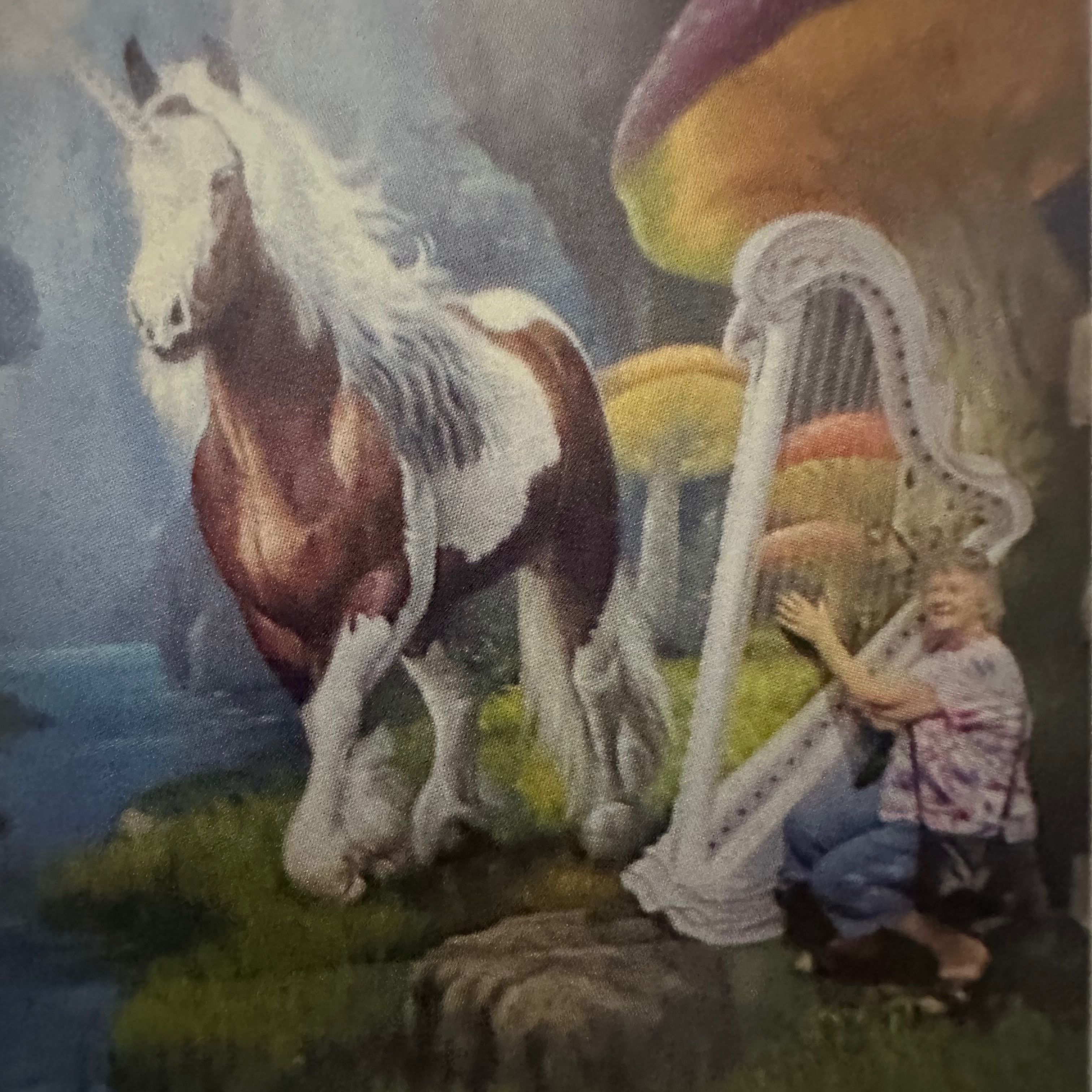3010.jpg