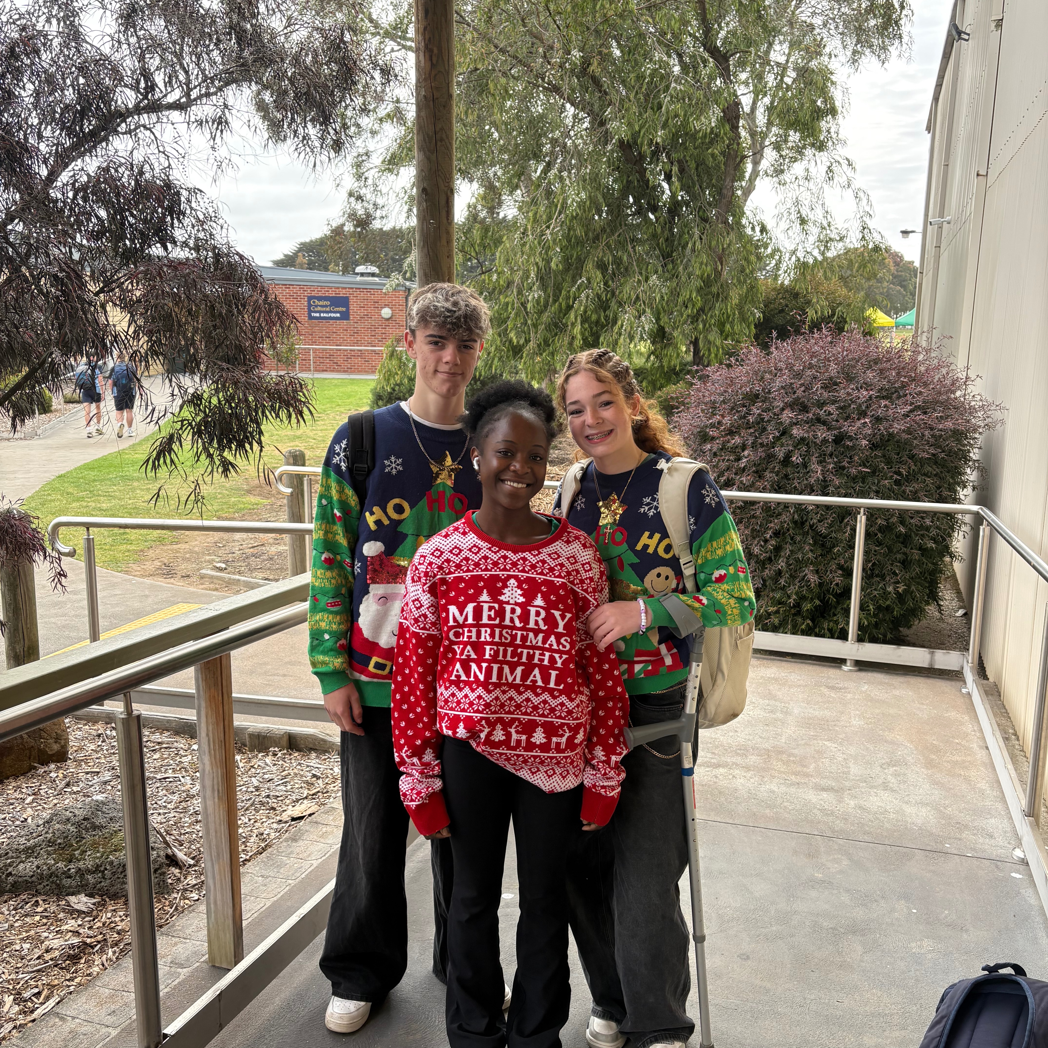 The chrissy Trees