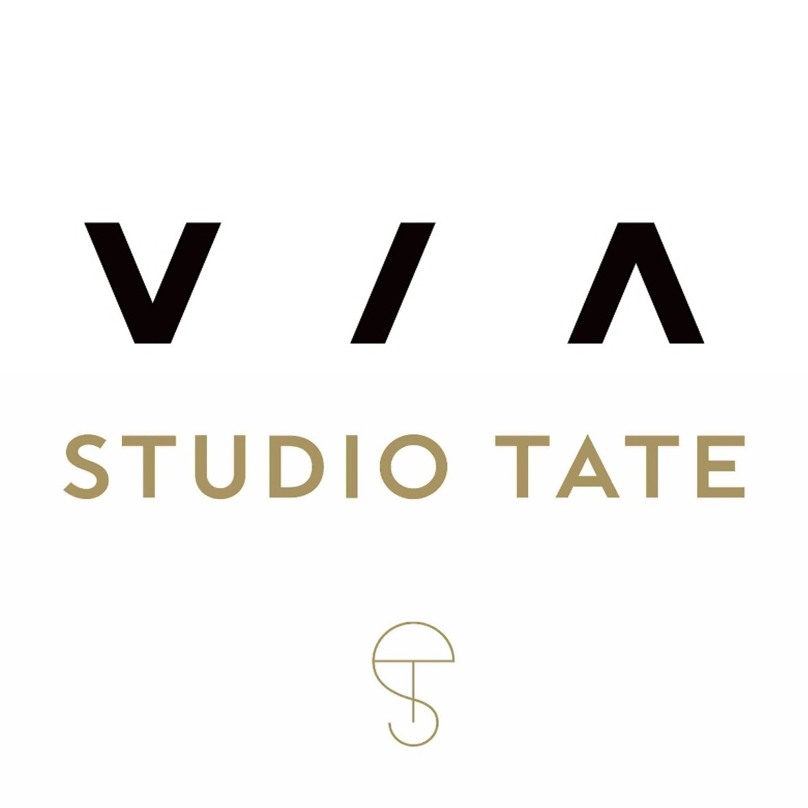 VIA X STUDIO TATE MND - FUNDRAISER